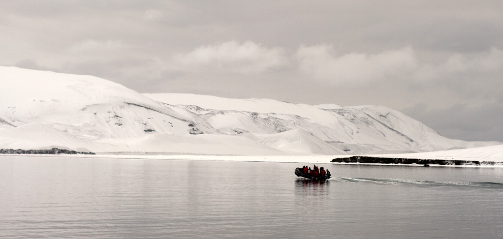 flash, actionscript (AS3), graphic design, banners, advertisment, display ads